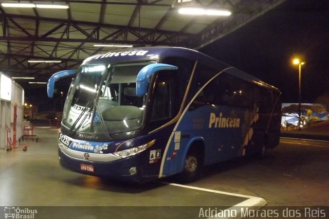 Princesa do Norte 51226 na cidade de Londrina, Paraná, Brasil, por Adriano Moraes dos Reis. Número da foto: #2000787.