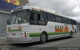 Ônibus Particulares MUI9009 na cidade de Caruaru, Pernambuco, Brasil, por Bruno Henrique de Oliveira Corderio. Número da foto: #:id.