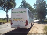 Expresso Palmares 19 na cidade de Mostardas, Rio Grande do Sul, Brasil, por Alexandre Machado. Número da foto: #:id.