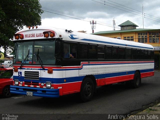Alpizar 03 na cidade de Santa Bárbara, Heredia, Costa Rica, por Andrey Segura Solís. Número da foto: #2002328.