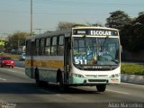 Escolares 2734 na cidade de Belo Horizonte, Minas Gerais, Brasil, por Adão Raimundo Marcelino. Número da foto: #2002663.