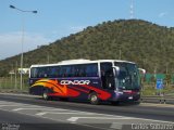 Condorbus 272 na cidade de Santiago do Sul, Santa Catarina, Brasil, por Carlos Sobarzo. Número da foto: #2001397.