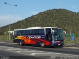 Condorbus 272 na cidade de Santiago do Sul, Santa Catarina, Brasil, por Carlos Sobarzo. ID da foto: :id.