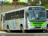 Viação Millenium 10051 na cidade de Piracicaba, São Paulo, Brasil, por Juliano Sgrigneiro. Número da foto: #:id.