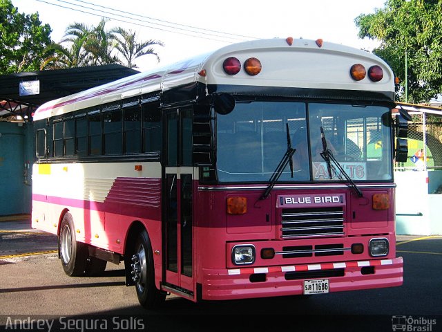 Transportes Ojo de Agua SJB 11686 na cidade de Flores, Heredia, Costa Rica, por Andrey Segura Solís. Número da foto: #2009412.