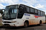 AVOA - Auto Viação Ourinhos Assis 12230 na cidade de Paraguaçu Paulista, São Paulo, Brasil, por Francisco Ivano. Número da foto: #2010631.