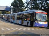 Metra - Sistema Metropolitano de Transporte 8313 na cidade de São Bernardo do Campo, São Paulo, Brasil, por Natan Felix dos Santos Diniz. Número da foto: #:id.