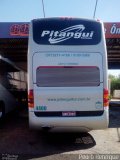 Pitangui Turismo 4400 na cidade de Araguari, Minas Gerais, Brasil, por Pedro Henrique. Número da foto: #2016759.