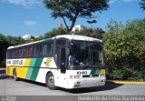 Empresa Gontijo de Transportes 10410 na cidade de São Paulo, São Paulo, Brasil, por Humberto da Costa Baronista. Número da foto: #2017861.