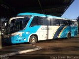 Cattani Sul Transportes e Turismo 11682 na cidade de Cascavel, Paraná, Brasil, por Roger Damim Maccarini. Número da foto: #2023376.