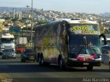Soró Silva 3014 na cidade de Belo Horizonte, Minas Gerais, Brasil, por Adão Raimundo Marcelino. Número da foto: #:id.