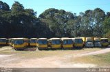 Viação Itapemirim FROTA na cidade de Cachoeiro de Itapemirim, Espírito Santo, Brasil, por Paulo  Junior. Número da foto: #1967911.
