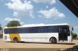 Asa Branca Rondônia 5536 na cidade de Machadinho d`Oeste, Rondônia, Brasil, por Diogo Carvais da Silva Pimentel. Número da foto: #1976571.