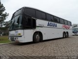 Águia 1603 na cidade de Santa Maria, Rio Grande do Sul, Brasil, por Cleverton Schmitt. Número da foto: #2024784.