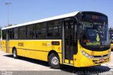 Real Auto Ônibus 41393 na cidade de Rio de Janeiro, Rio de Janeiro, Brasil, por Carlos Eduardo Lopes. Número da foto: #2024257.