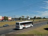 Auto Ônibus Macacari 8090 na cidade de Franca, São Paulo, Brasil, por Guilherme Antonio. Número da foto: #2042423.