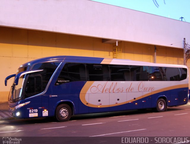 Bia Turismo > Aellos de Ouro 8219 na cidade de Sorocaba, São Paulo, Brasil, por EDUARDO - SOROCABUS. Número da foto: #2050403.