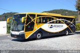 Viação Progresso 36133 na cidade de Juiz de Fora, Minas Gerais, Brasil, por Ricardo Silva Monteiro. Número da foto: #:id.