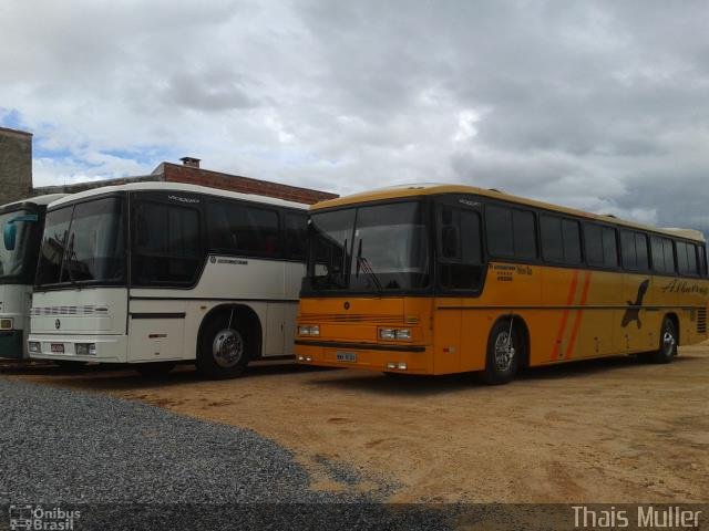 Albatroz 5121 na cidade de Itapetininga, São Paulo, Brasil, por Thais Muller. ID da foto: 2052249.