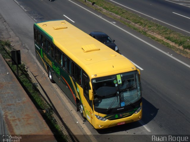 Viação Princesa Tecelã 2101 na cidade de Americana, São Paulo, Brasil, por Ruan Roque. Número da foto: #2052353.