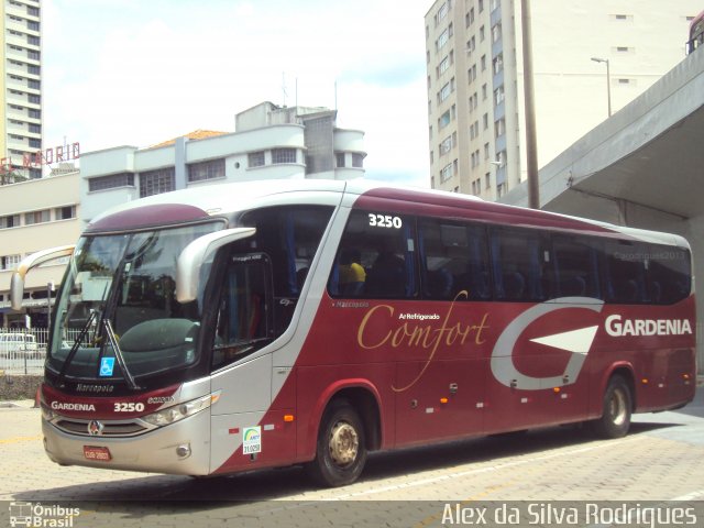 Expresso Gardenia 3250 na cidade de Belo Horizonte, Minas Gerais, Brasil, por Alex da Silva Rodrigues. Número da foto: #2051895.