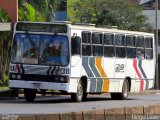 RISA - Rápido Internacional S.A. 310 na cidade de Foz do Iguaçu, Paraná, Brasil, por Diego Leão. Número da foto: #2051720.