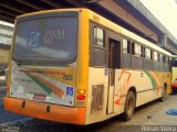 ZWM Transportes 2002 na cidade de Rio de Janeiro, Rio de Janeiro, Brasil, por Renan Vieira. Número da foto: #2027397.