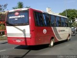 Rouxinol 390 na cidade de Contagem, Minas Gerais, Brasil, por Matheus Adler. Número da foto: #2064096.