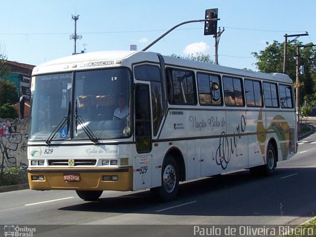 Viação Galo de Ouro 829 na cidade de São Paulo, São Paulo, Brasil, por Paulo de Oliveira Ribeiro. Número da foto: #2066027.