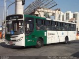 Cooperativa de Transportes Alternativos Nova Aliança 5 4085 na cidade de São Paulo, São Paulo, Brasil, por Roberto Teixeira. Número da foto: #2067463.