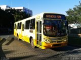 SM Transportes 10229 na cidade de Belo Horizonte, Minas Gerais, Brasil, por Jaime  Quintino. Número da foto: #:id.