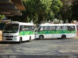 Cootarde 520721 na cidade de Brazlândia, Distrito Federal, Brasil, por Clébio Júnior. Número da foto: #2073929.