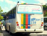 Transcol - Transportes Coletivos Ltda. 239 na cidade de Recife, Pernambuco, Brasil, por Lucas Silva. Número da foto: #:id.