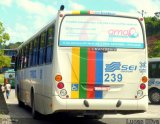 Transcol - Transportes Coletivos Ltda. 239 na cidade de Recife, Pernambuco, Brasil, por Lucas Silva. ID da foto: :id.