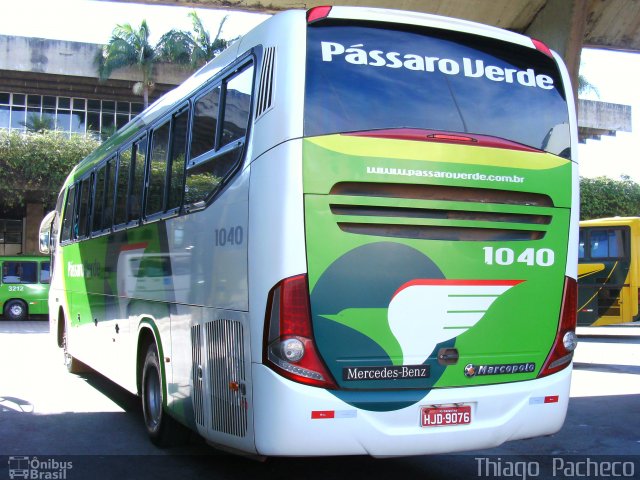 Pássaro Verde 1040 na cidade de Belo Horizonte, Minas Gerais, Brasil, por Thiago  Pacheco. Número da foto: #2079922.