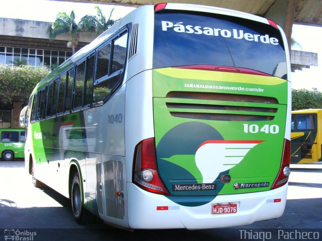 Pássaro Verde 1040 na cidade de Belo Horizonte, Minas Gerais, Brasil, por Thiago  Pacheco. ID da foto: 2079922.