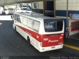 Empresa de Ônibus Pássaro Marron 5020 na cidade de Aparecida, São Paulo, Brasil, por Cleusenir Rosa  Ferreira. Número da foto: #2029717.