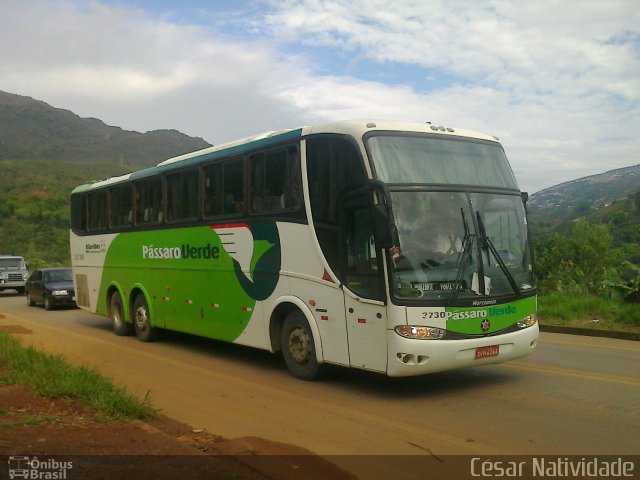 Pássaro Verde 3730 na cidade de Mariana, Minas Gerais, Brasil, por César Natividade. Número da foto: #2083530.