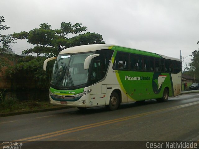 Pássaro Verde 1040 na cidade de Mariana, Minas Gerais, Brasil, por César Natividade. Número da foto: #2083525.