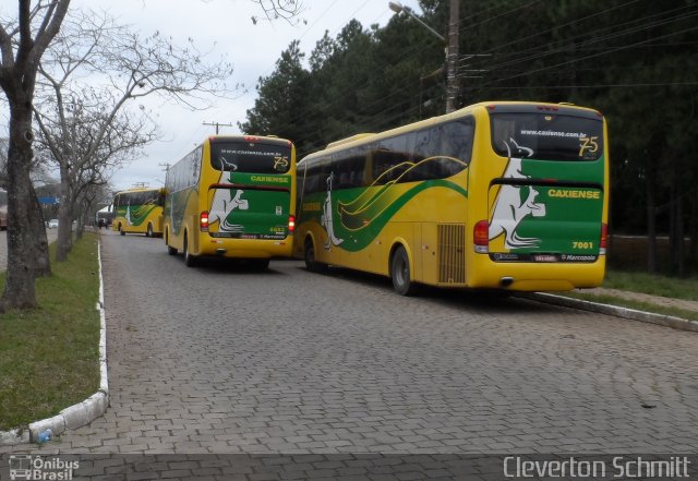 Expresso Caxiense 6083 na cidade de Santa Maria, Rio Grande do Sul, Brasil, por Cleverton Schmitt. Número da foto: #2036347.